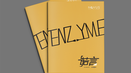 測繪公司宣傳冊設計樣本的制作價位