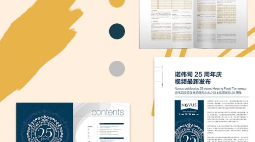 制造公司宣傳冊設計：追求性價比，實現制作價位優化