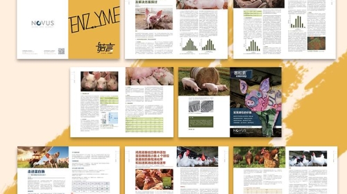 營銷海報助陣，景觀公司宣傳冊設計再升級